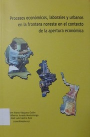 Procesos económicos, laborales y urbanos en la frontera noreste en el contexto de la apertura económica /