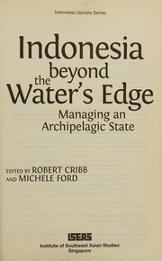 Indonesia beyond the water's edge : managing and archipelagic state /