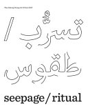 Rana Begum, Sarah Abu Abdallah, Doa Aly, Raha Raissnia : seepage / ritual : Abraaj Group Art Prize 2017 /