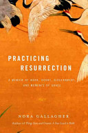 Practicing resurrection : a memoir of work, doubt, discernment, and moments of grace /