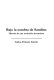 Bajo la sombra de Sandino : historia de una revolución inconclusa /