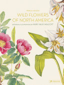 Wild flowers of North America : botanical illustrations by Mary Vaux Walcott /