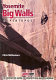 Yosemite big walls : supertopos /