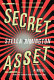Secret asset /
