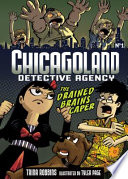 Chicagoland detective agency