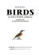 Sasol birds of Southern Africa : the region's most comprehensively illustrated guide /