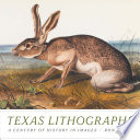 Texas lithographs : a century of history in images /